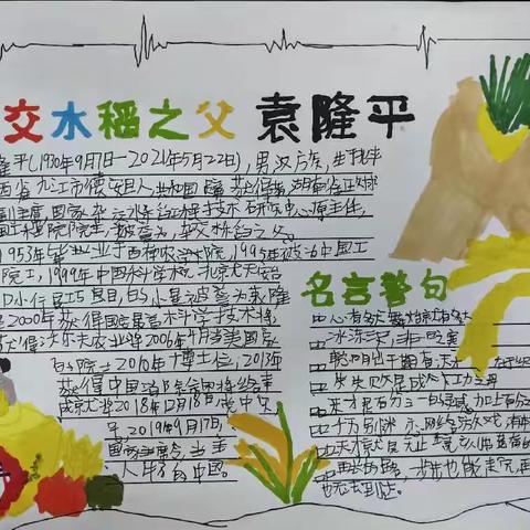 中国杰出人物手抄报展览