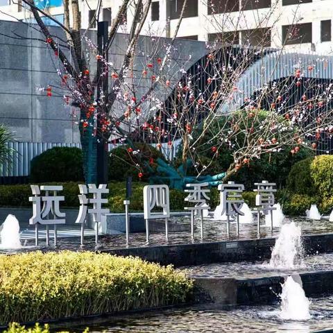 远洋四季宸章物业4月份第三周报