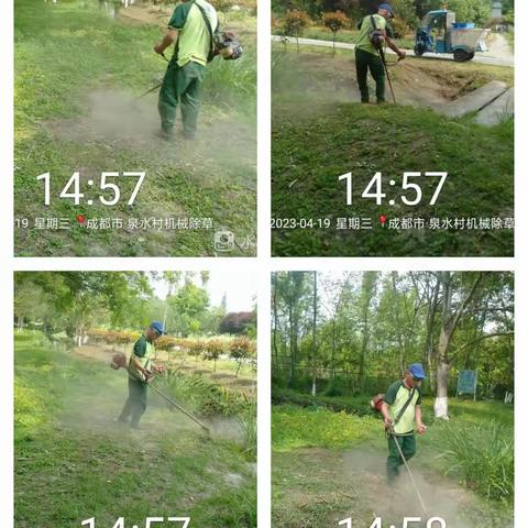 徐堰河二标段河道、绿道以及绿化日常管护情况