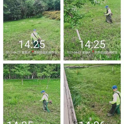 徐堰河二标段河道、绿道以及绿化日常管护情况