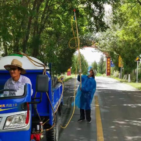 开展森林虫害防治   筑牢绿色生态屏障