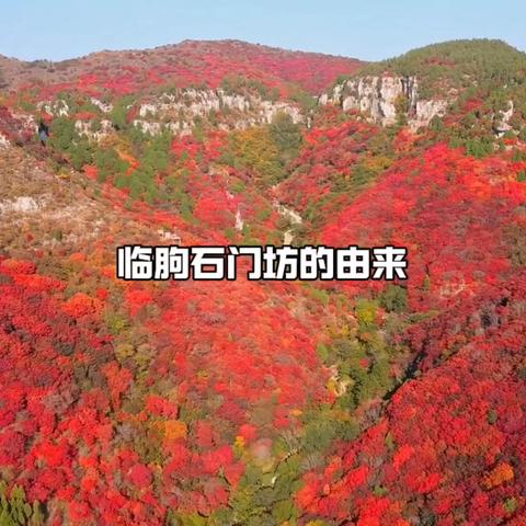 【红叶季】10月19日（周六）、20日（周日）临朐红叶谷赏红叶一日游