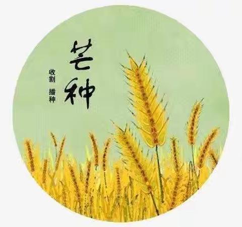 芒种芒种幸福播种——旬阳市第三幼儿园芒种主题活动