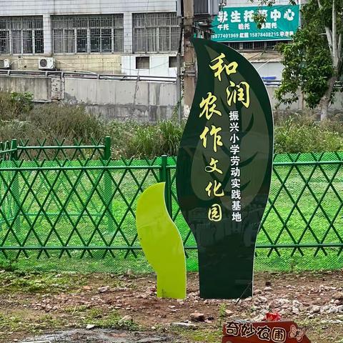 春日万物长 劳动正当时——振兴小学举行＂和润＂农作文化园劳动教育实践基地启动仪式