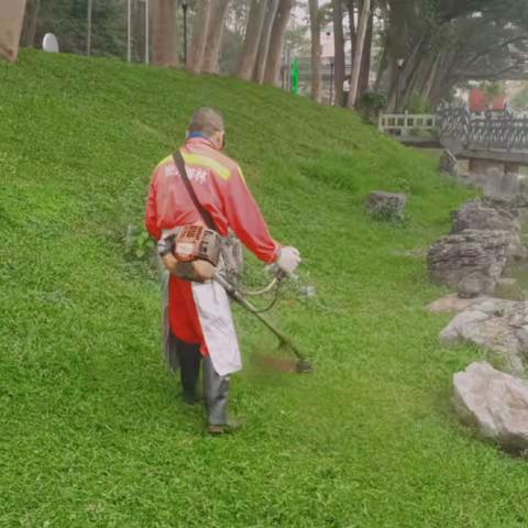 大浪公园Ａ标2023年4月15日工作总结