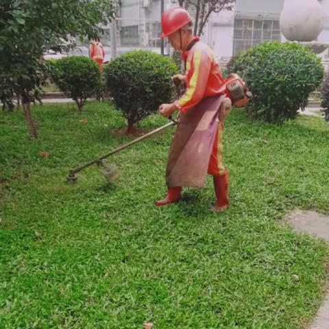 大浪公园Ａ标2023年4月21日工作总结