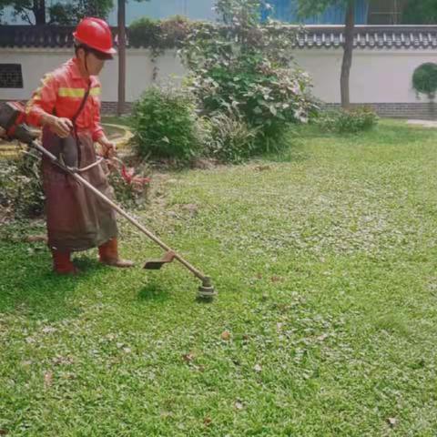 大浪公园Ａ标2023年4月23日工作总结