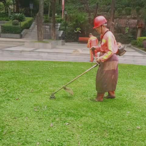 大浪公园Ａ标2023年4月24日工作总结