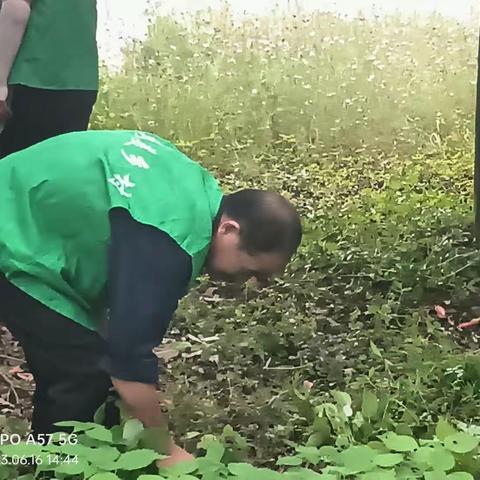 杨村诚信互助小组徐艳萍的美篇