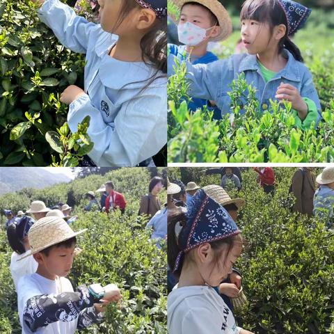 雨生百谷，万物逢时——红小二（4）班谷雨时节系列活动