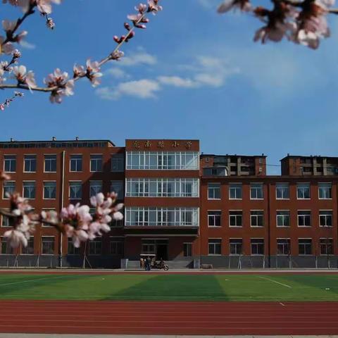 学贯二十大   丹青书初心 ——虎南路小学四月党日活动纪实