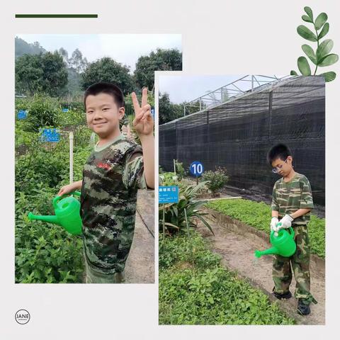 万象耕新，快乐有稻2