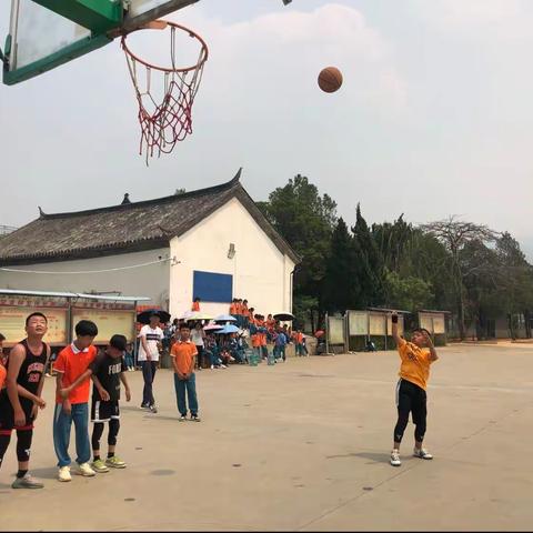 “篮”不住的精彩🏀