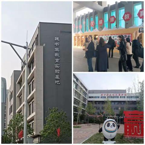 跟岗学习，追光前行