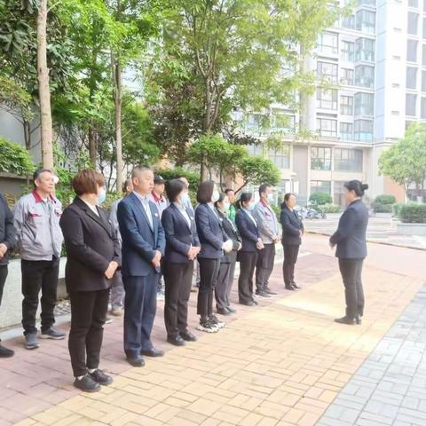 紫薇尚层近期工作汇总