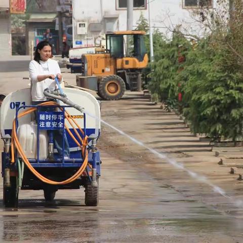 绿美贾璧｜美化绿化齐发力 全域提升换新颜