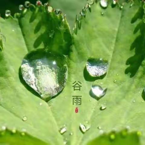 好雨生百谷  春深花正艳