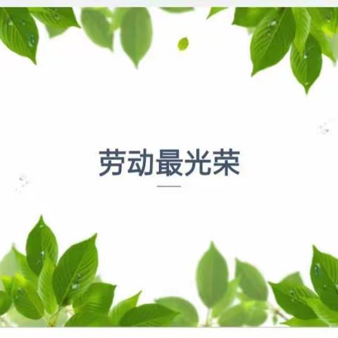 关爱学生幸福成长——护绿种植，以劳育美——曲周县河南疃镇郎屯小学