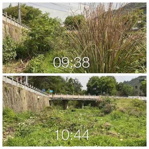 高楼镇：4月18日环境整治简报