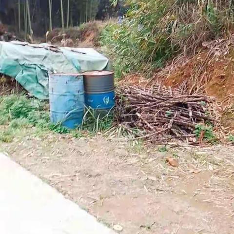 高楼镇：4月25日环境整治简报