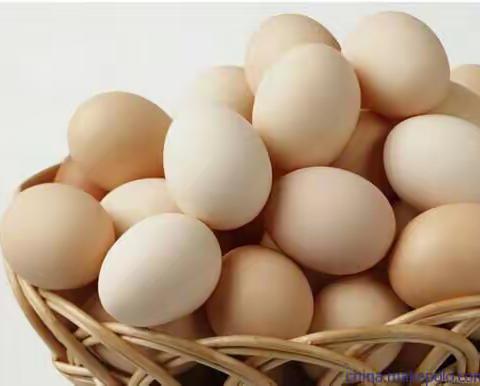 广饶梁邹银行高港便民服务点开展“鸡蛋🥚银行”活动