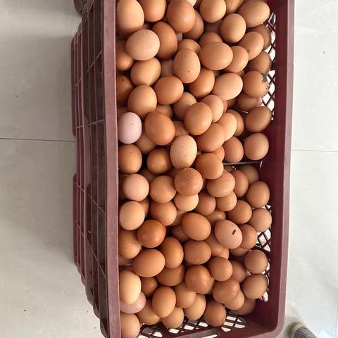 广饶梁邹村镇银行高港便民服务点鸡蛋节银行活动来了