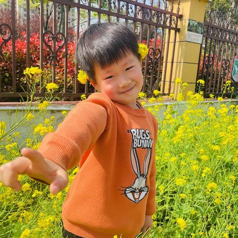 「四月春晓，落入美好🌿