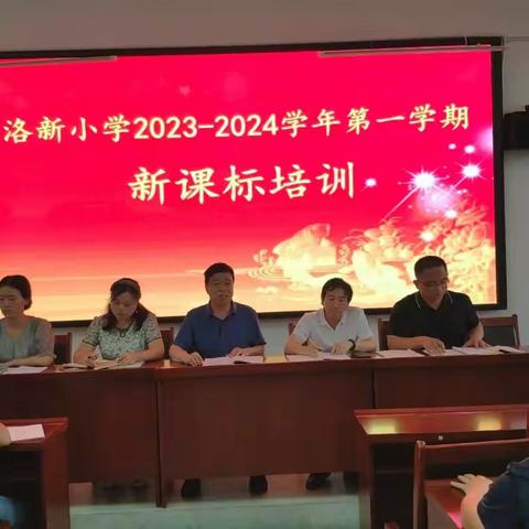 学习新课标，奋进新征程——洛新小学新课标学习活动