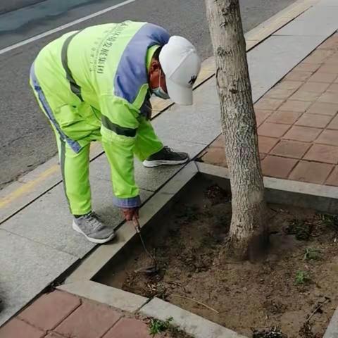 青春由磨砺而出彩，人生因奋斗而升华——“五四”青年节致敬青年环卫人