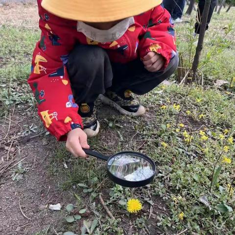 介休市第九幼儿园小四班走近春天，拥抱大自然之系列活动