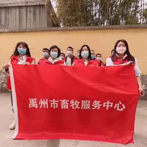 禹州市畜牧服务中心开展第35个爱国卫生月宣传活动