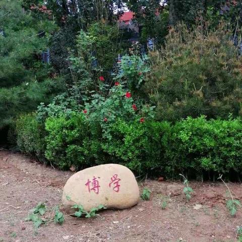 研教学，促发展