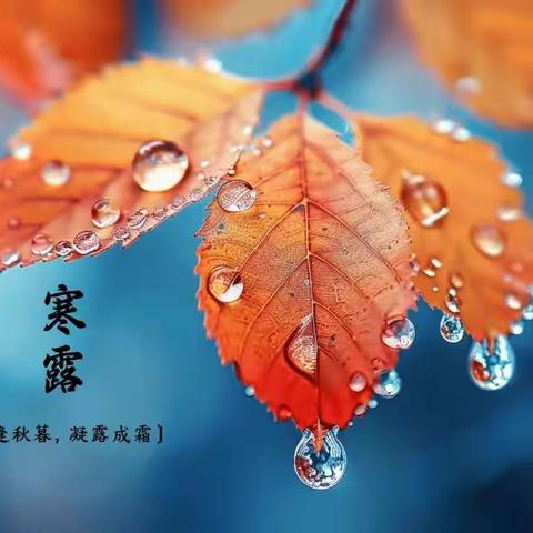 第六周食谱回顾 第七周食谱预告