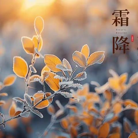 第八周食谱回顾 第九周食谱预告