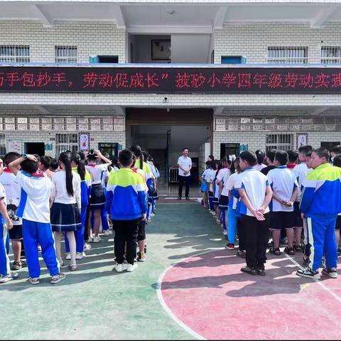 “巧手包抄手，劳动促成长”披砂小学四年级劳动实践活动