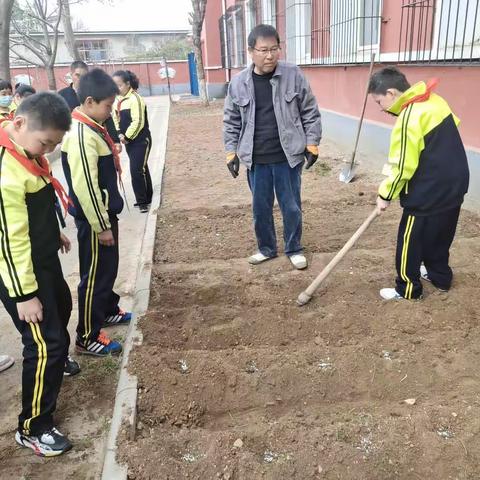 逐梦四小.聚焦“双减”之爱上劳动/劳动赋能   乐享成长---四年级劳动体验活动