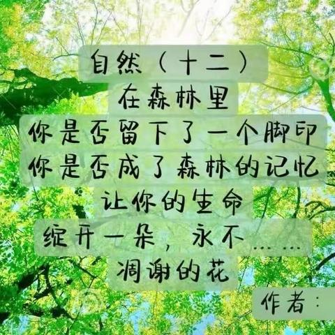 【美好阅读·语文】“悦读越美”系列（三）——叩响诗歌的大门（副本）