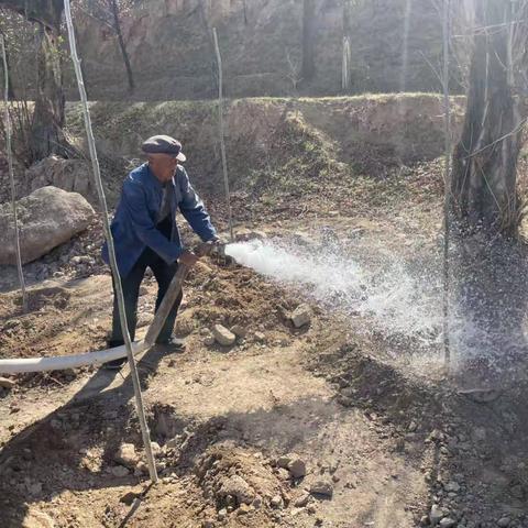 大田洼乡2023年义务植树活动        春回大地万物苏,植树添绿正当时