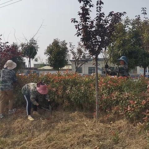 开展环境整治  助力乡村建设