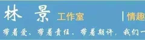 关注情感体验，促进深度学习——海南省小学数学卓越教师林景工作室6月份线上活动（二）