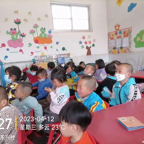 幼儿园教育见习 杨婉婷（29号）