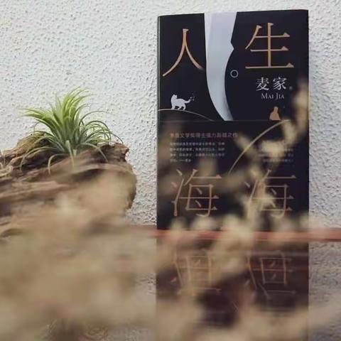 阅读丰底蕴，书香溢师心——《人生海海》读书沙龙