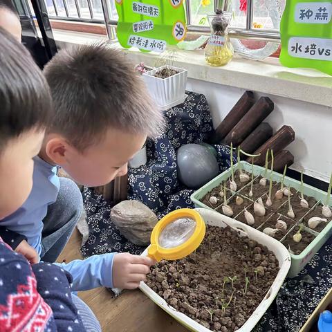 时光不语，静待花开🌸