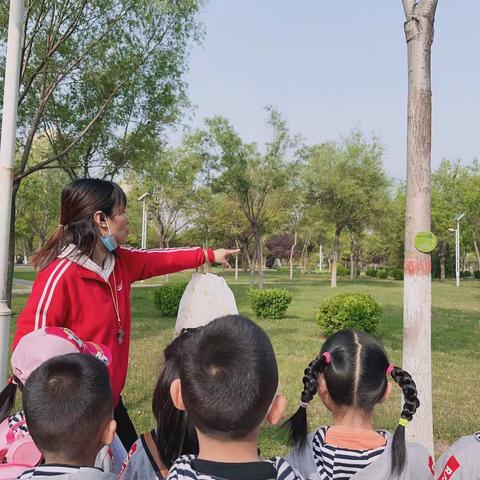 走进自然，快乐“童行”冀州区第一幼儿园中四班春游活动🌹🦋🦋🦋🌸🌸🌸🌿🌿