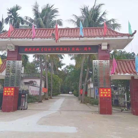 东方市大田镇开展《信访工作条例》宣传活动