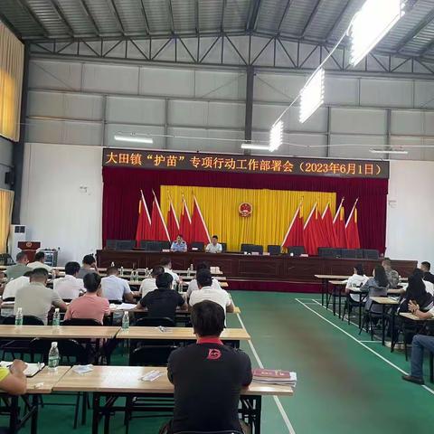 大田镇“护苗”专项行动工作部署会