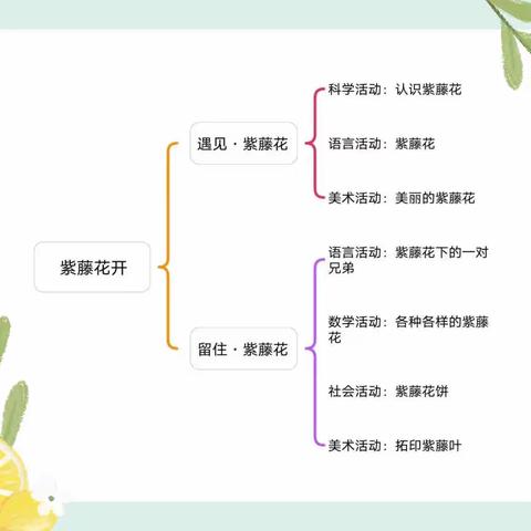 班本活动：紫藤花开                                            ———和凤镇中心幼儿园 大一班