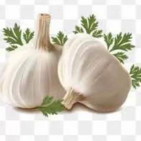 “蒜”你精彩——班本课程活动（小五班）