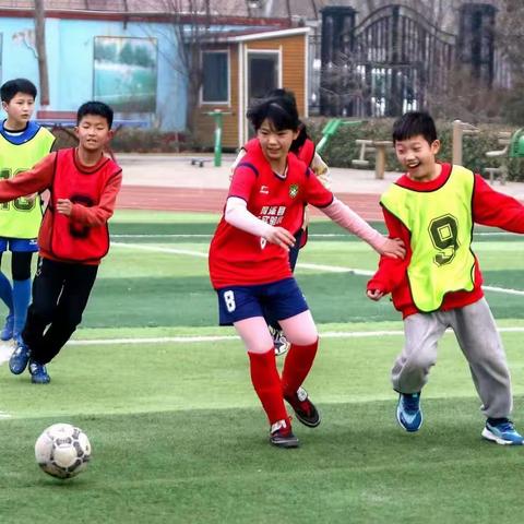 “让每朵花儿都绽放”——鸡泽县第二实验小学四（2）班家校共育经验分享