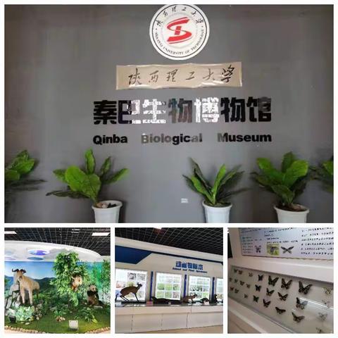 汉师附小二年级(8)班走进“陕西理工大学秦巴生物博物馆” 开展科普宣教活动